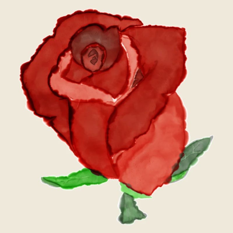 Romantische Rosenillustration