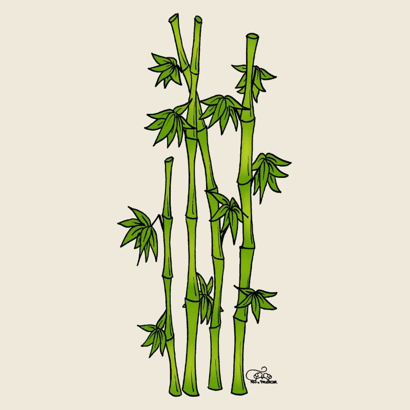 Il suffit de bambou