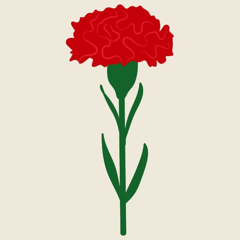 Einzelne leuchtend rote Nelkenblume