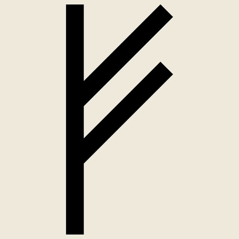 Fehu Wikinger Rune schwarz