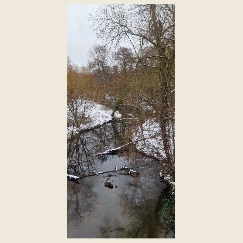 Rivière d’hiver dans le brouillard