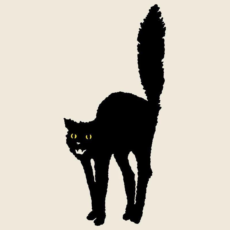 Bas les pattes! Chat noir Symbole d’Halloween