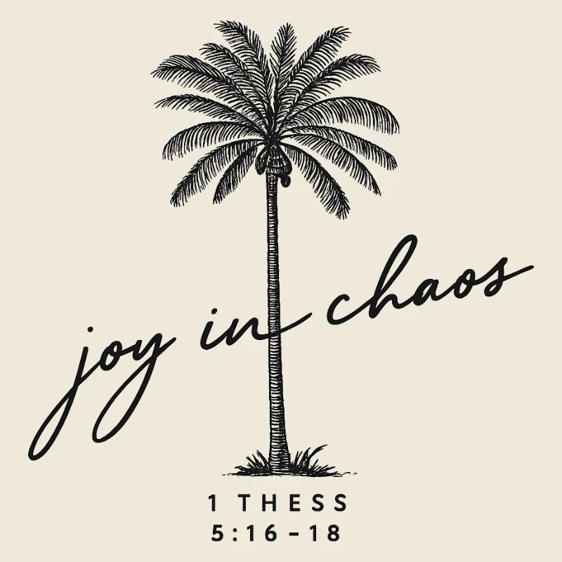 joy in chaos