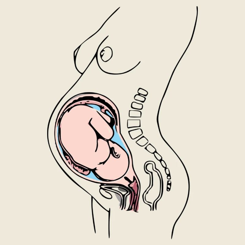Pregnant