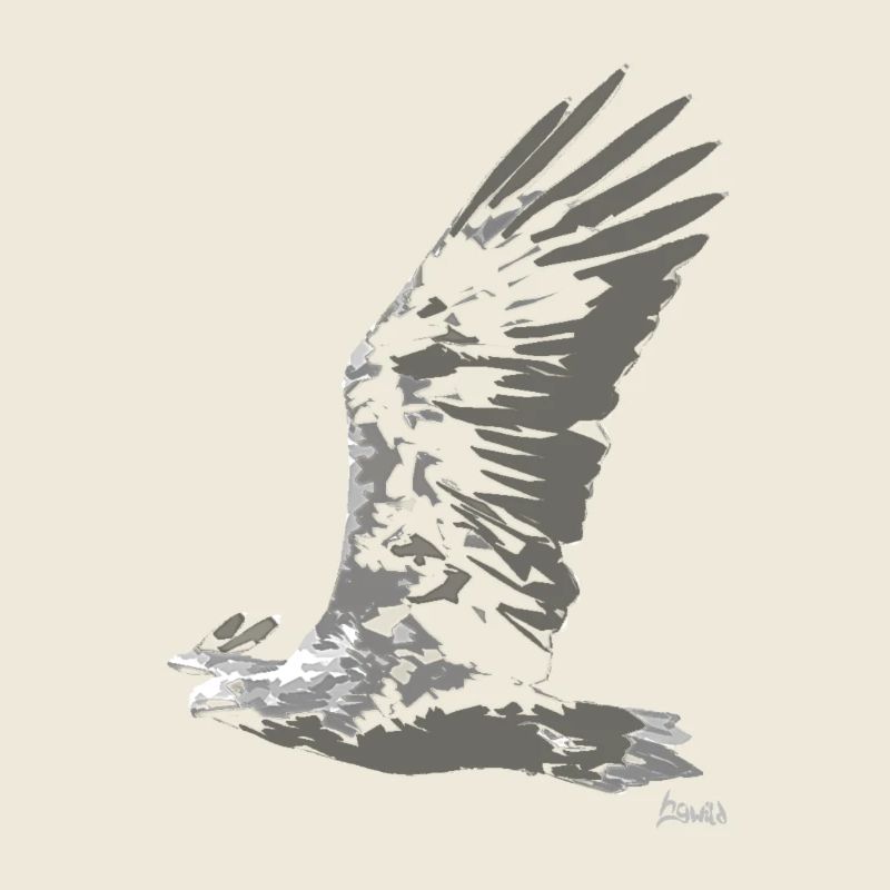 HGWild - Aigle de mer