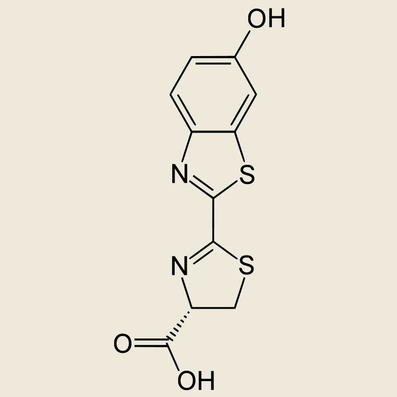 Luminous / Glow in the dark firefly luciferin
