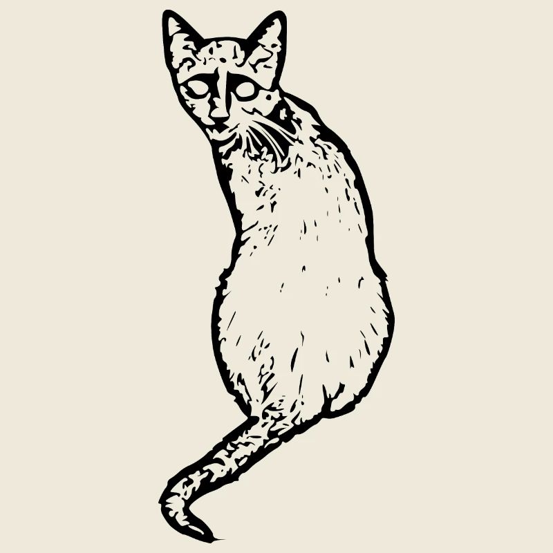 Cat black