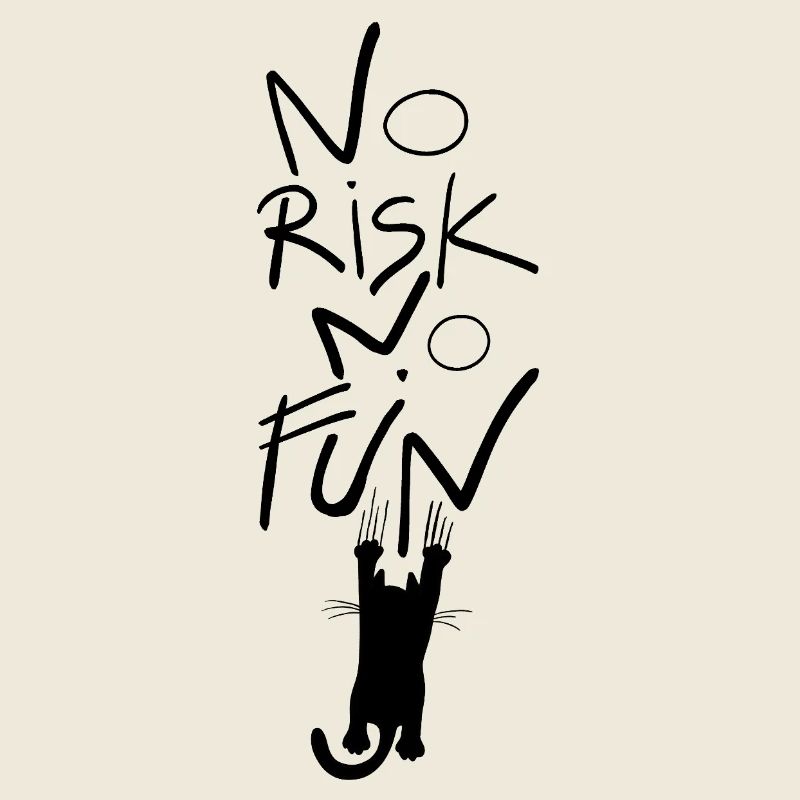 funny cat