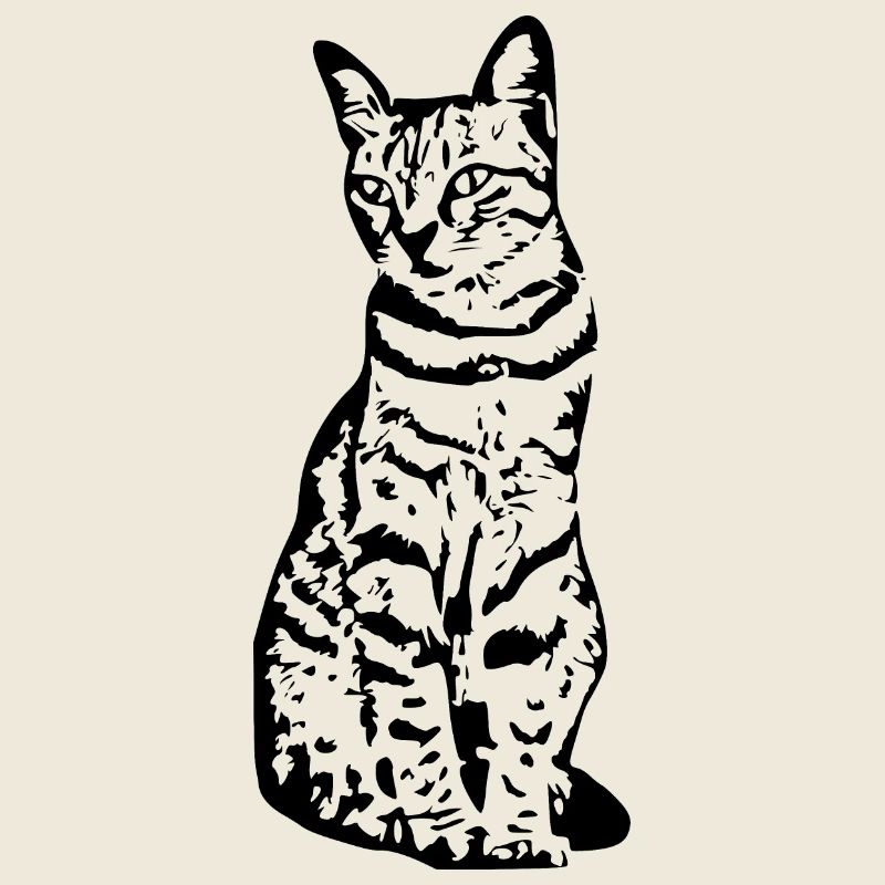 Katze Katzen Kätzchen Katzenshirt Geschenk