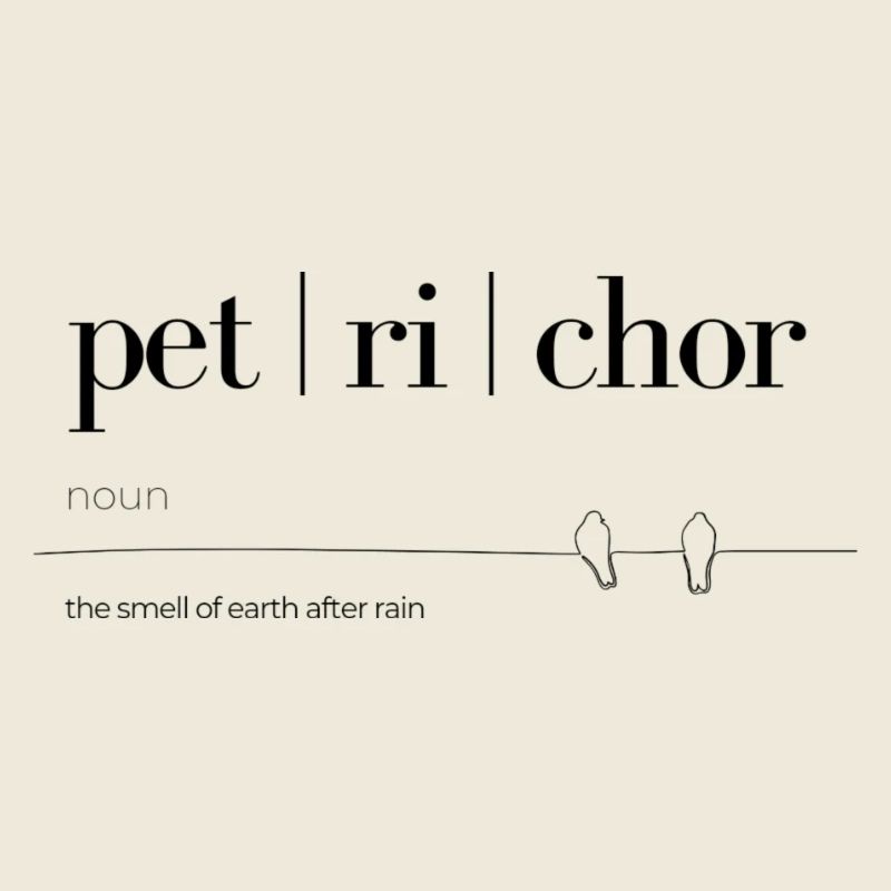 Der Gerich von Regen