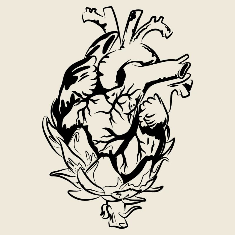 Artichoke heart