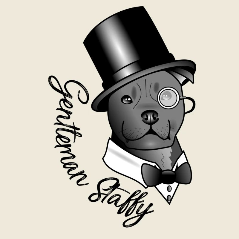 gentleman Staffy