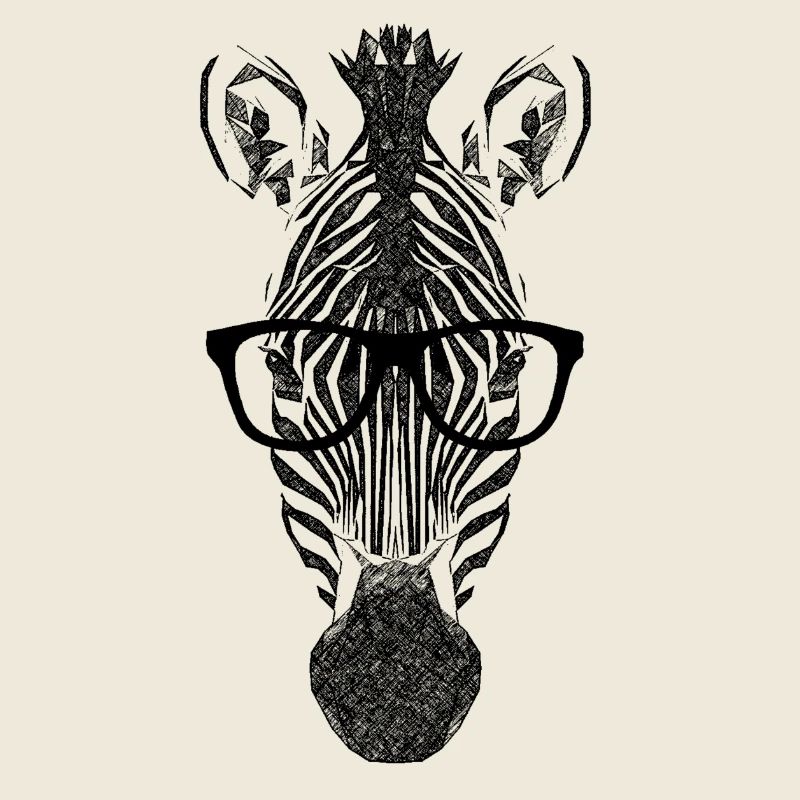 nerd_zebra