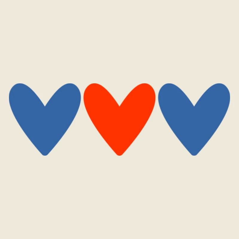 COUPLE. JUST MARRIED. EVJF. SAINT VALENTIN. MARIES