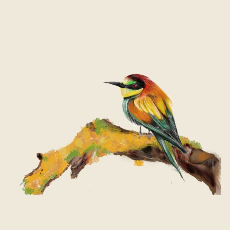 oiseau jeune