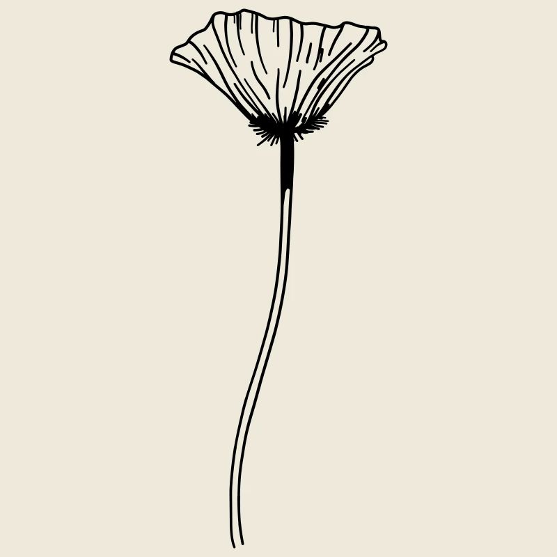 Fleur de pavot