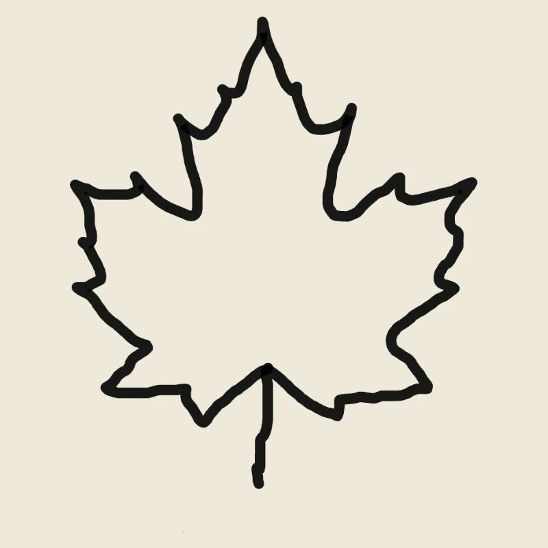 LiGu Design - Contour de la feuille d’érable