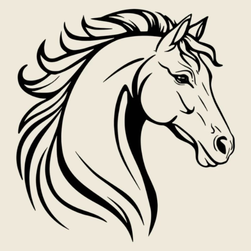 Illustration de cheval