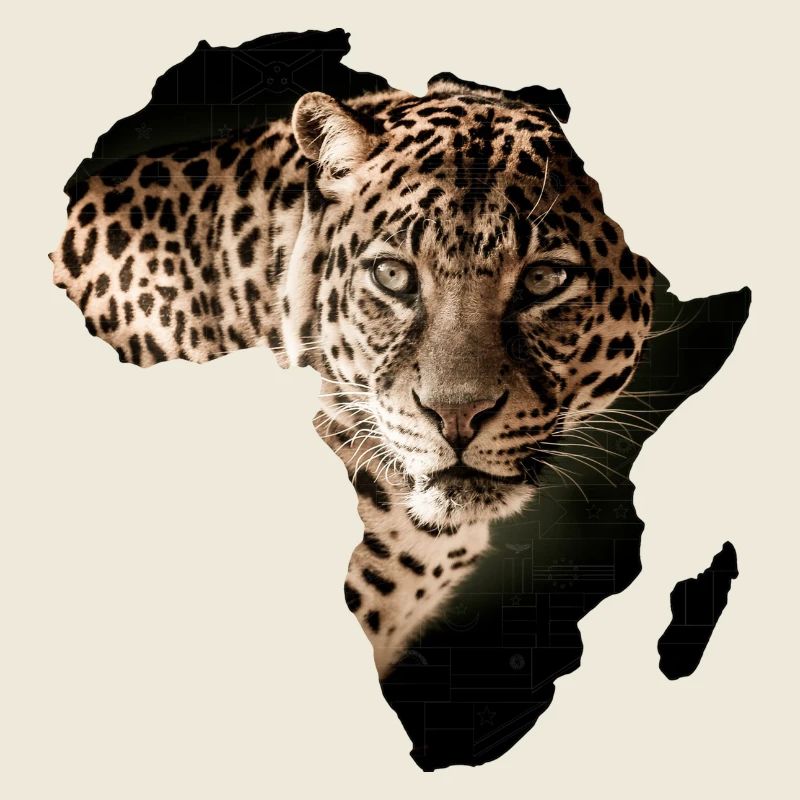 Afrika Leopard