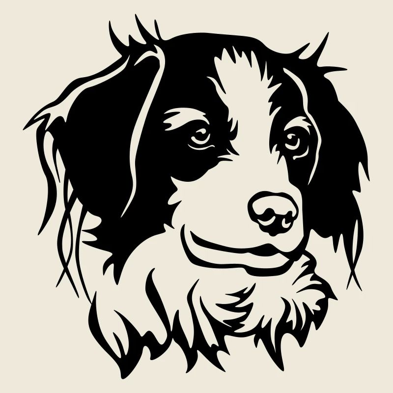 Kooikerhondje head