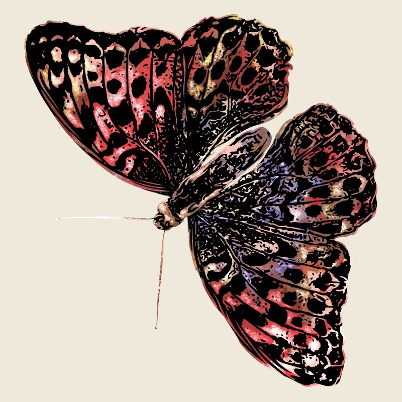 Bunter Schmetterling Watercolor