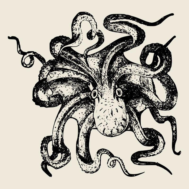 squid giant octopus octopus octopus squid sepia fish