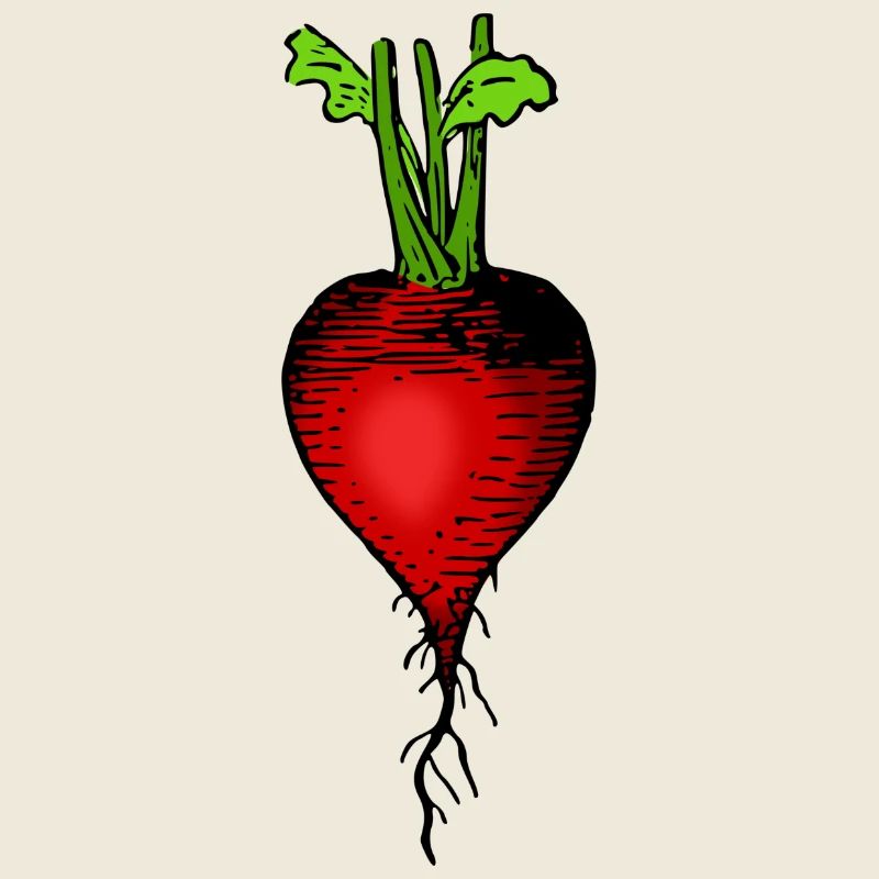 rettich radieschen radish veggie gemuese vegetable