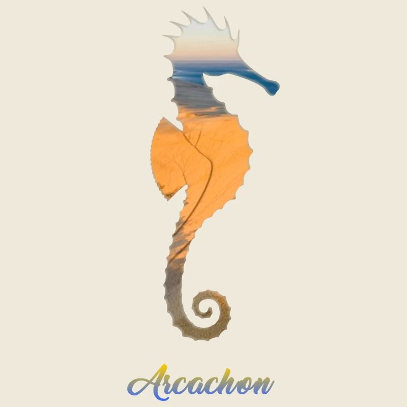 Das Seepferdchen von Arcachon