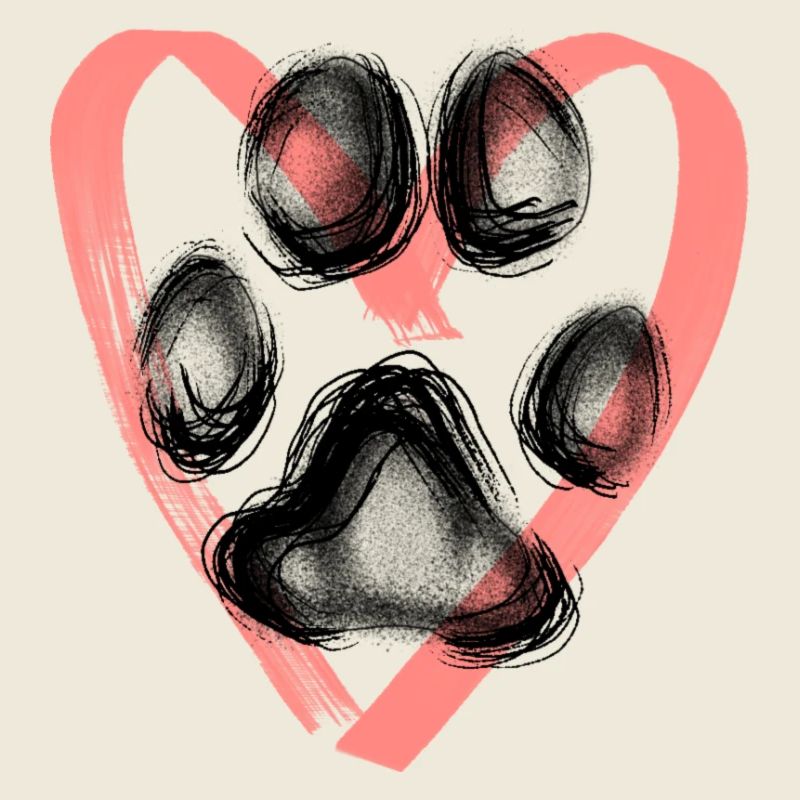 Paw print with heart, pink