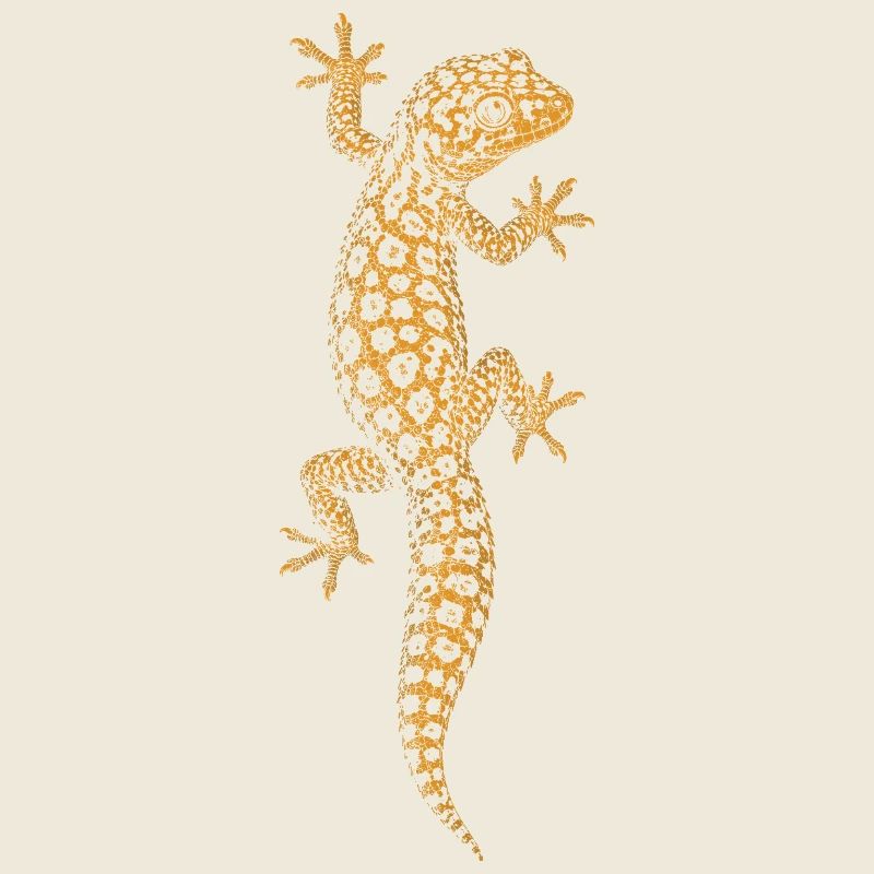 Leopardgecko