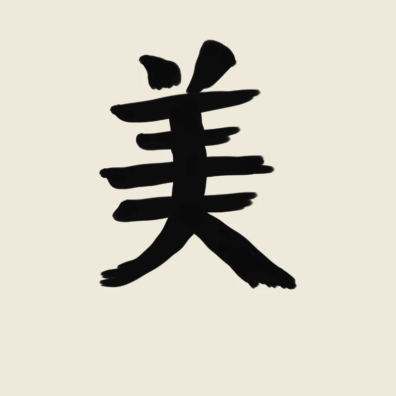 Schönheit Chinesische Schrift Zeichen Symbol