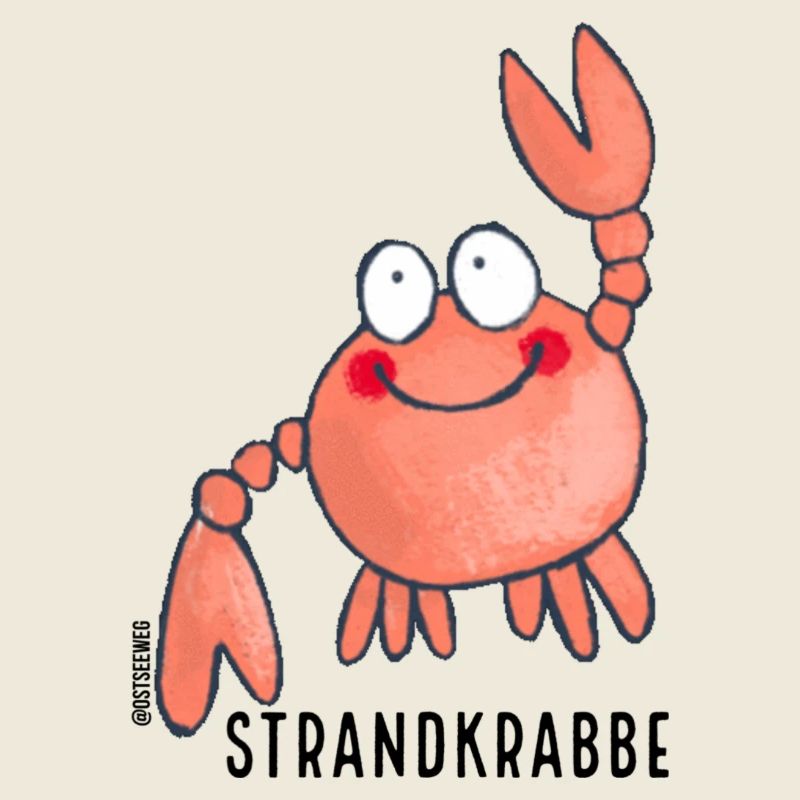 Strandkrabbe