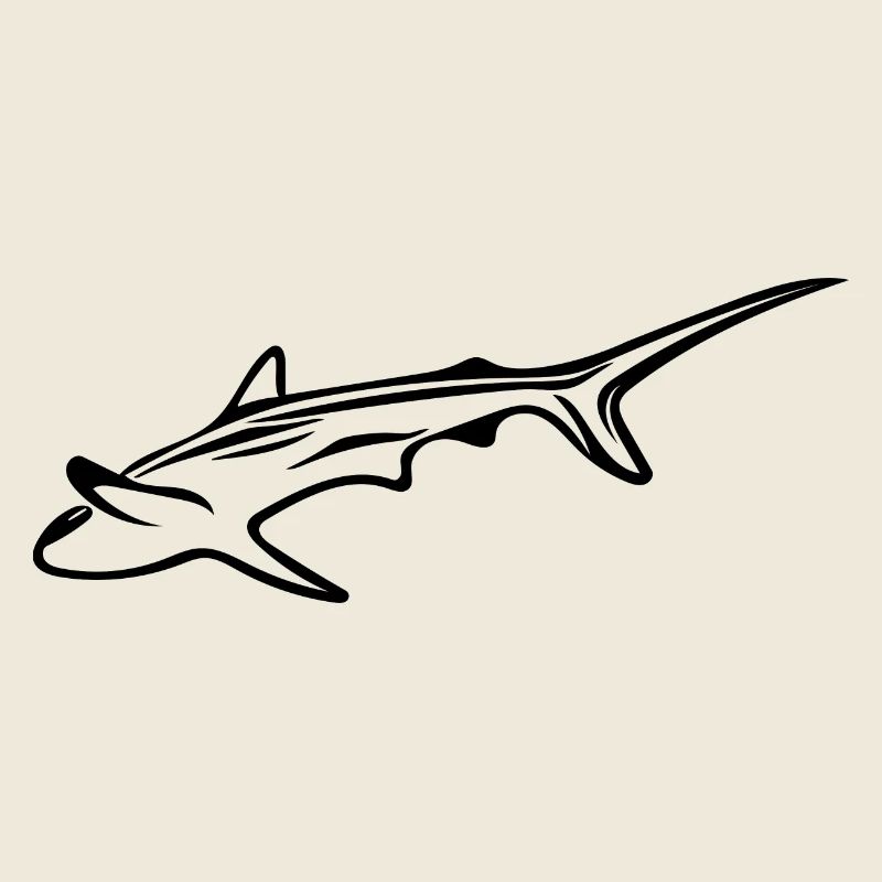 Eleganter Hai in Drift Strömung