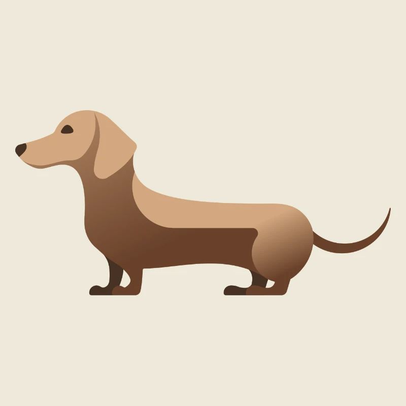 Little cute dachshund beige