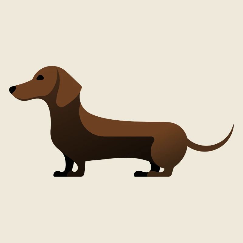 Petit teckel mignon brun foncé