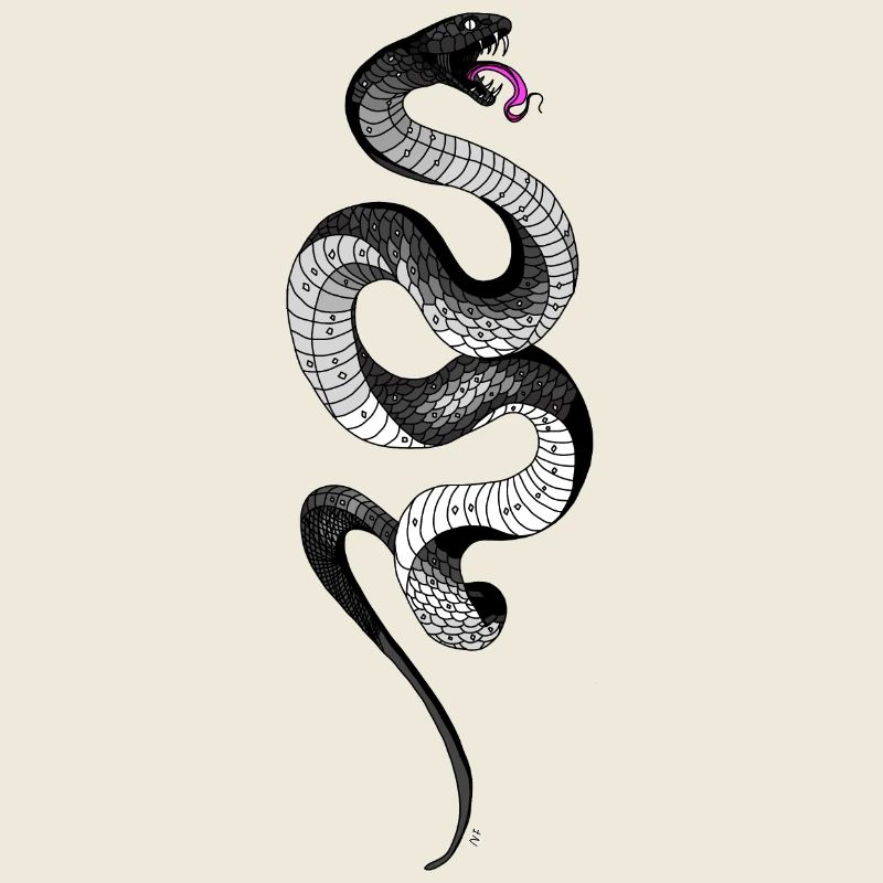 Serpent noir