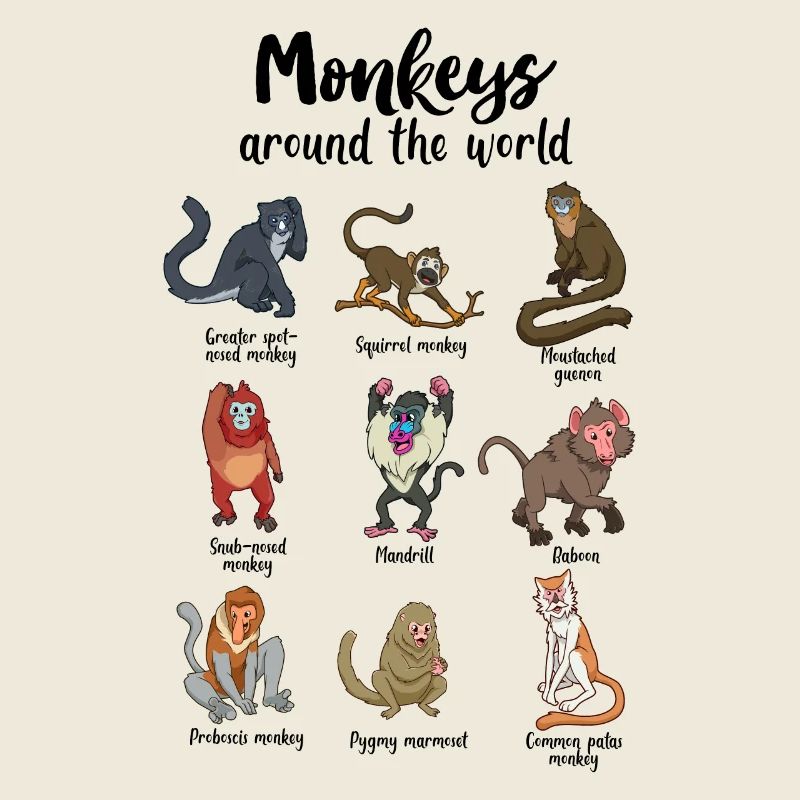 Singes du monde - Singes