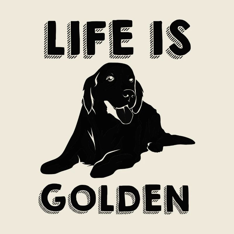 Golden Retriever Hund