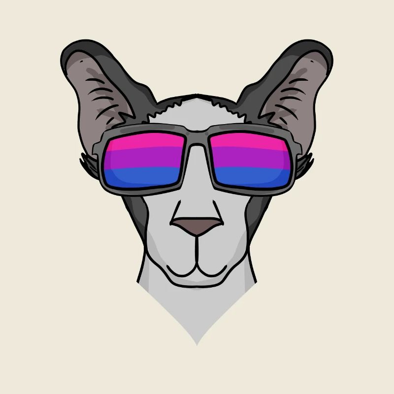 Bisexuell Orientalisch Kurzhaar Katze Geschenk