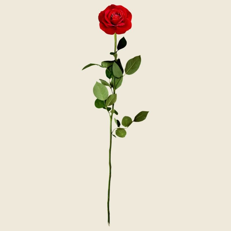 Rose rouge
