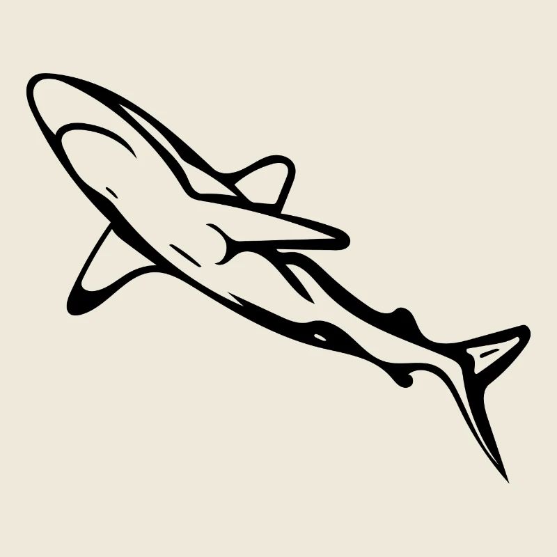 Élégant requin d’eau profonde