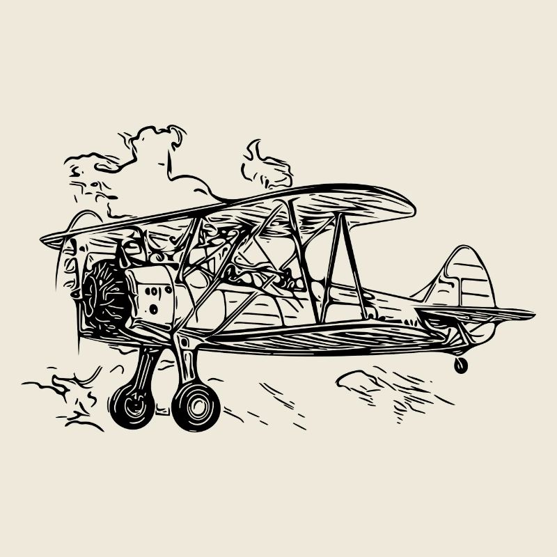 Illustration de la boîte vintage du biplan volant