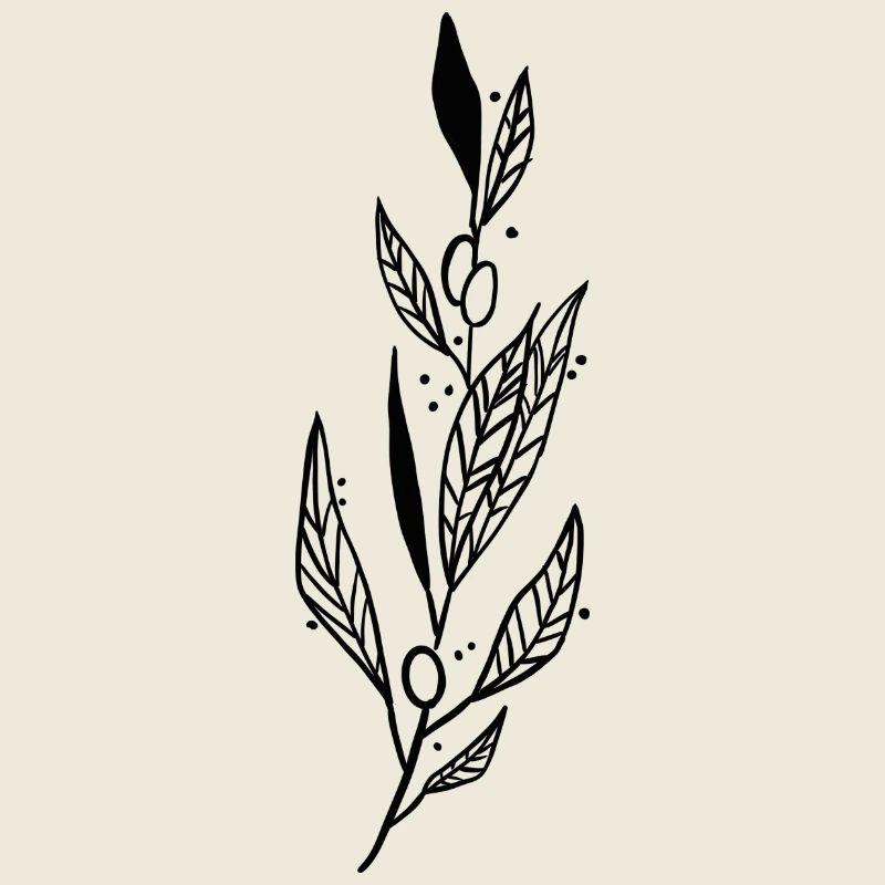 Olive Branch