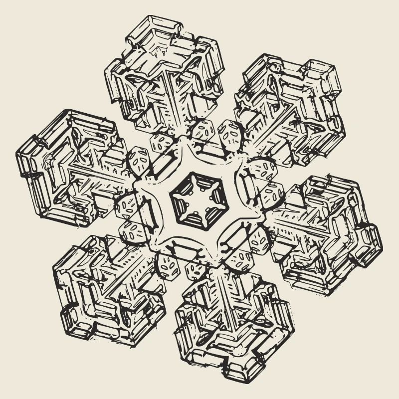 snowflake 10 black