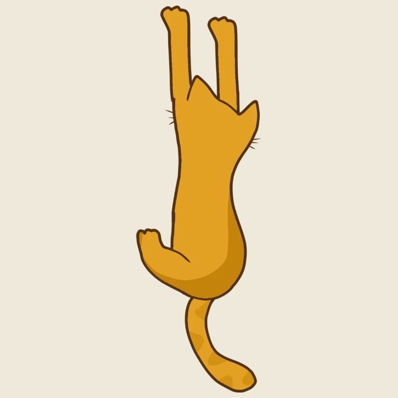 Orange Katze hängend, Liebe Katzen