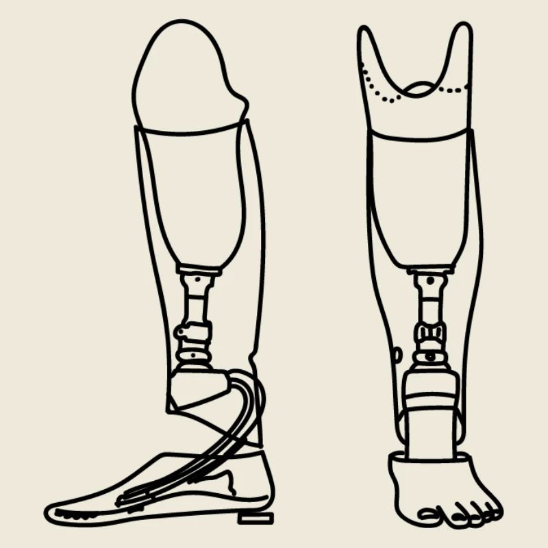 Lower leg prosthesis sketch