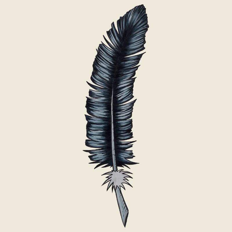 Crow feather