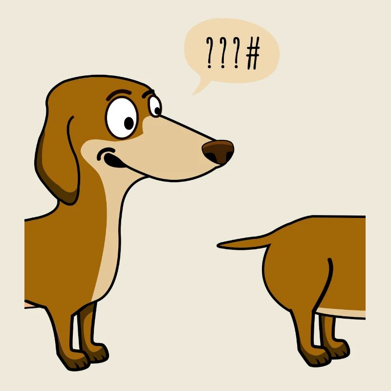 Dog dachshund funny walk long irony humor comic L