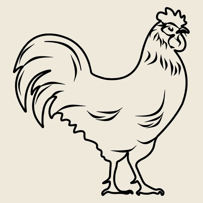 Coq transparent