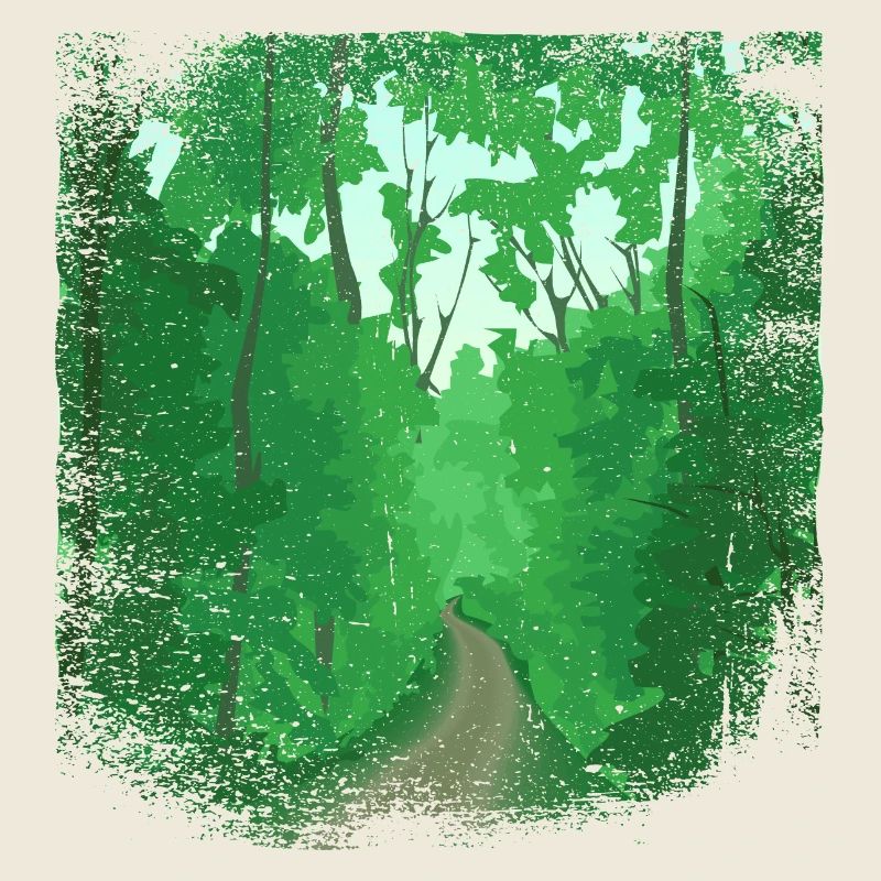 Waldweg mit ausgefranstem Rand